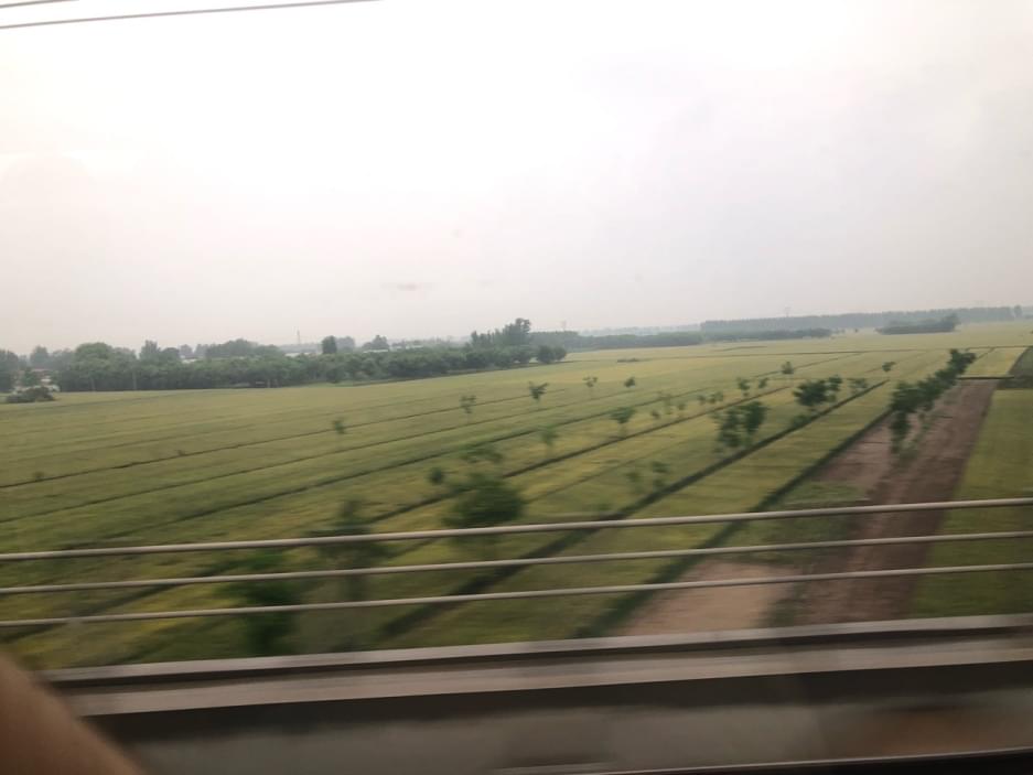 IMG_0929.jpeg